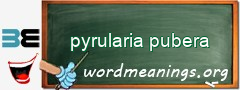 WordMeaning blackboard for pyrularia pubera